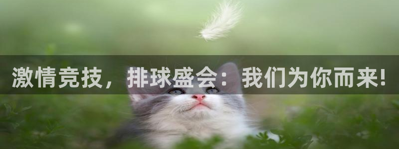 激情竞技，排球盛会：我们为你而来!