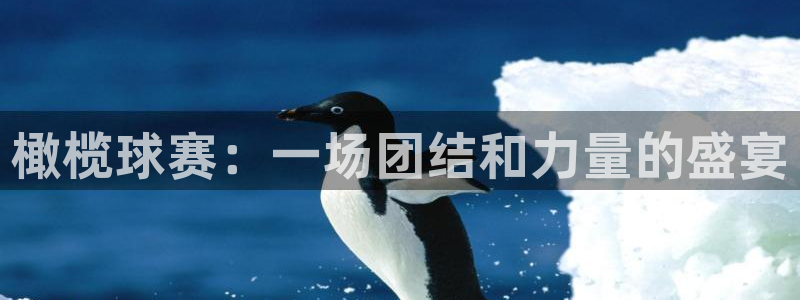 橄榄球赛：一场团结和力量的盛宴