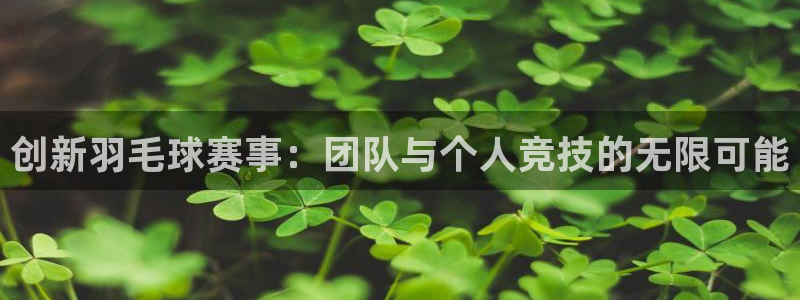 创新羽毛球赛事：团队与个人竞技的无限可能