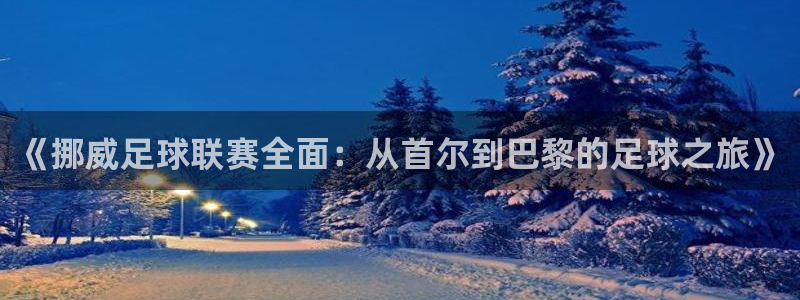 中欧体育官方平台是什么：《挪威足球联赛全面：从首尔到巴黎的足