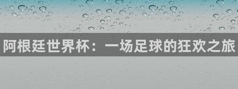 中欧体育出款时间：阿根廷世界杯：一场足球的狂欢之旅